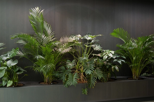 res.2.06_doepelstrijkers_lely_lowres.webp